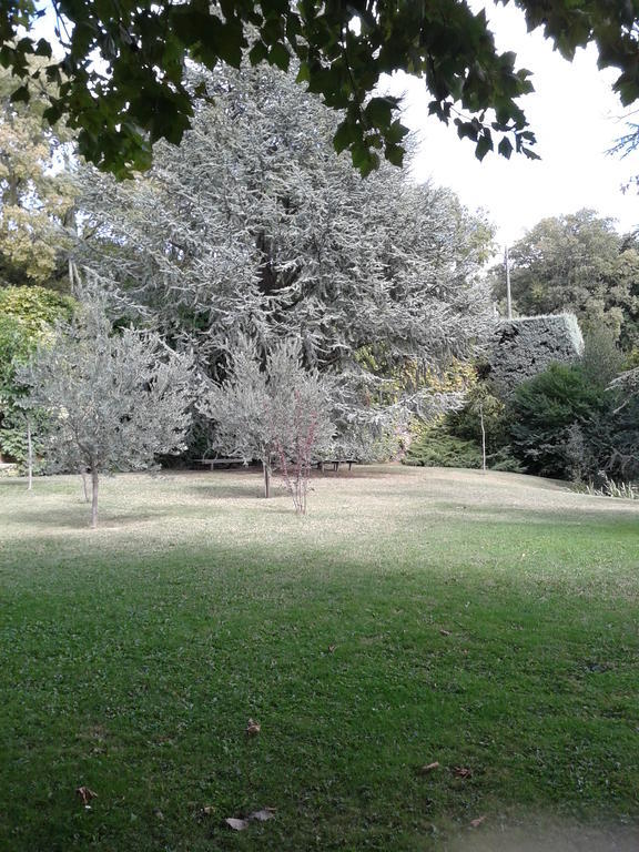 Le Chateau Des Estubiers Bed & Breakfast Serignan-du-Comtat Bagian luar foto