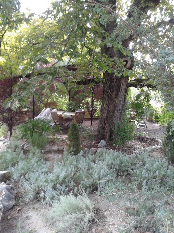 Le Chateau Des Estubiers Bed & Breakfast Serignan-du-Comtat Bagian luar foto